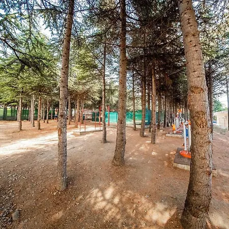 империал форт клуб